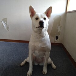 「家に来て１年(*´ω｀*)」サムネイル2