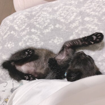 2日目