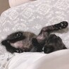 2日目