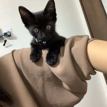 14日目