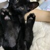 2.8ヶ月