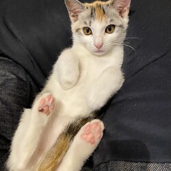 くつろぐ