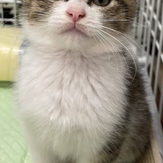 元気で甘えん坊な男の子