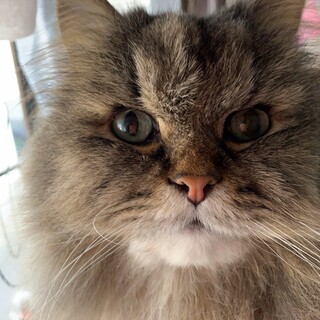 共に穏やかな日々を過ごしていただける方に