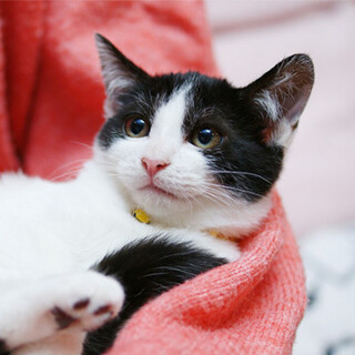 おっとりランラン☆うららちゃん