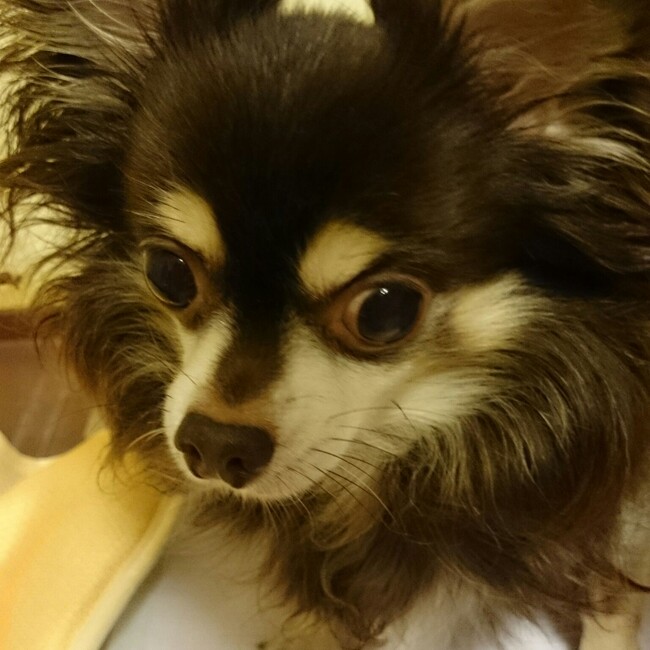 らーsanのカバー写真
