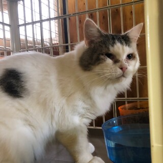 【一時停止中】ジャンボな可愛い男の子