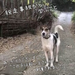 脱走事故から学ぶこと