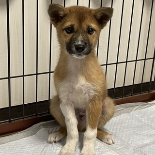 お問合せがあり一旦停止中です