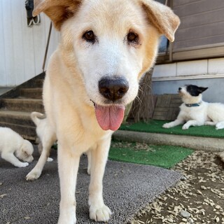 おっとり優しい♡Polaris