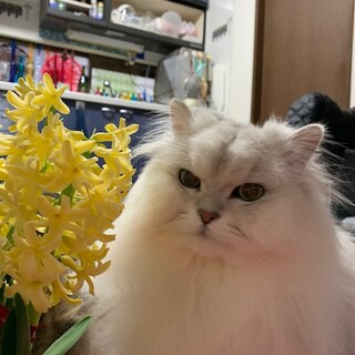 共に穏やかな日々を過ごしていただける方に