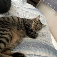 むった
