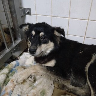 センターに収容され22日の朝までが期限です