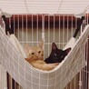 ちゃちゃかげ