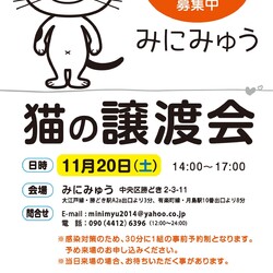 みにみゅう 譲渡会
