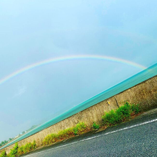♡nekohige♡のカバー写真
