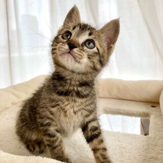 【お見合い随時】初心者向き★安定感抜群の4兄妹