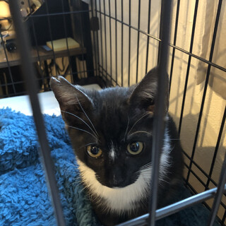 工場に迷い込んだ男の子