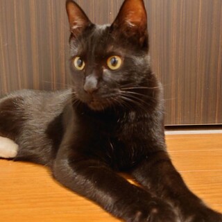 お問合せがあり一旦停止中です