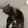 タケイチです