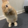 綺麗にして過ごすかわいい子です