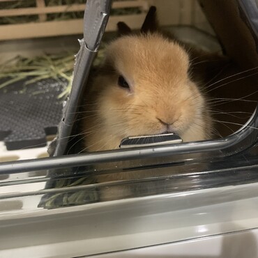お眠でトンネルに入ってます