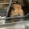 お眠でトンネルに入ってます