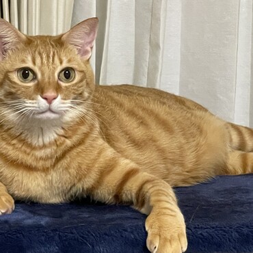 4歳^ ^大人になりました！