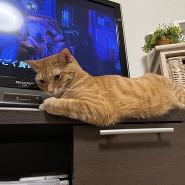 映画より僕を見て(^^)