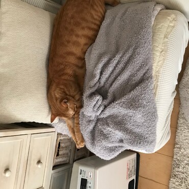 伸びちゃいました(*´꒳`*)