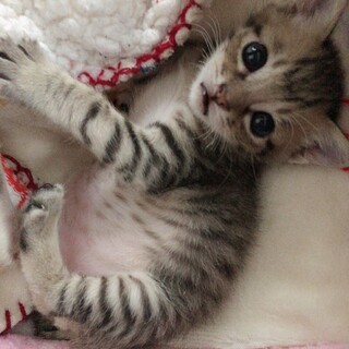 【募集一旦停止】イケメンかんちゃん♪