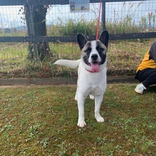 【募集一旦停止】ゼンちゃん