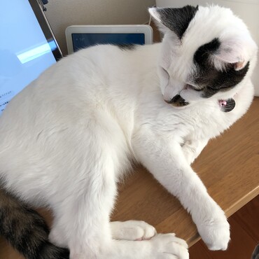 きょうこの写真