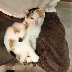 甘えん坊全開