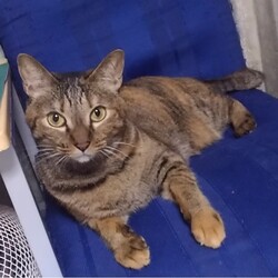 NHK総合テレビ　特集ドラマ『雨の日』放送のお知らせ サムネイル2