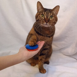 NHK総合テレビ　特集ドラマ『雨の日』放送のお知らせ サムネイル3