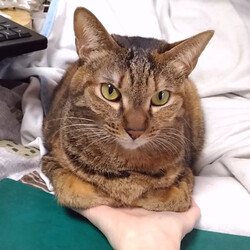 NHK総合テレビ　特集ドラマ『雨の日』再放送のお知らせです