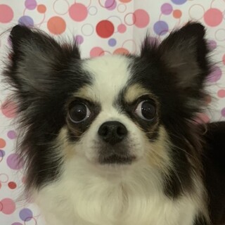 紋別（もんべつ）「今は」おとなしい♪ビビリさん
