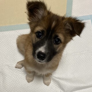 食いしん坊で可愛いみねちゃん❣️