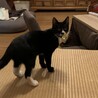 の写真