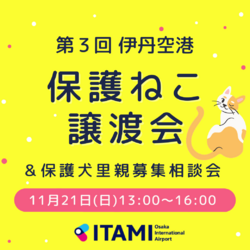 第3回伊丹空港保護ねこ譲渡会&保護犬里親募集相談会