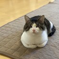 全盲、てんかん持ち。元気いっぱいです！