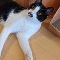 人が大好き！甘えん坊な１歳の男の子