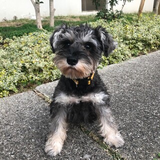 フレンドリーな女の子、7ヶ月のノアちゃん♪