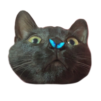 ロノ