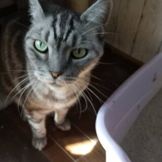 よろしくお願いします。