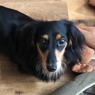 トライアル決定の為、一時停止。琴乃ちゃん