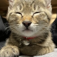 すず