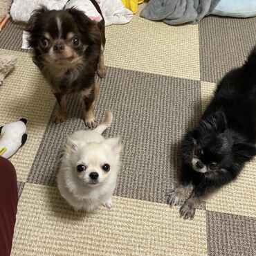 の写真