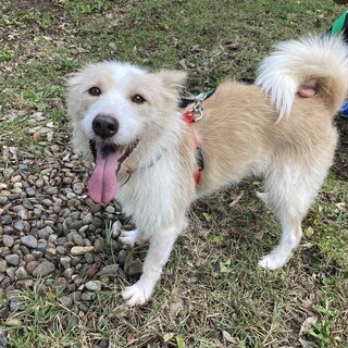 「クッキー」男の子